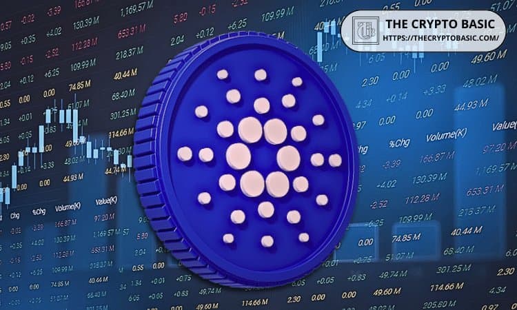 Big Cardano players loaded up 240 million ADA as rally picked up steam