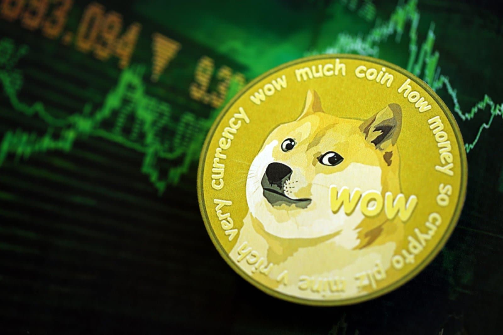 Dogecoin Traders Show Overwhelming Bullish Sentiment Despite Bearish Price Trends