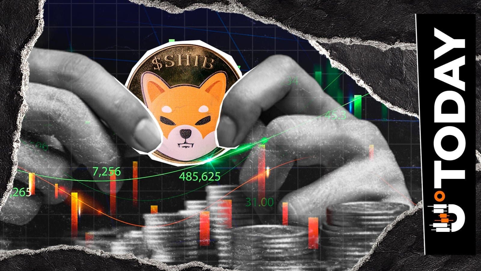 Shiba Inu Advisor Warns Community Against Fake Official Accounts