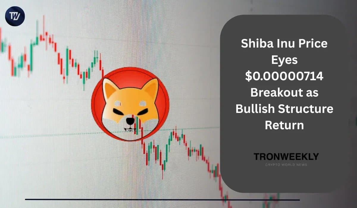 Shiba Inu Eyes Breakout at $0.00000714 Amid Growing Whale Activity