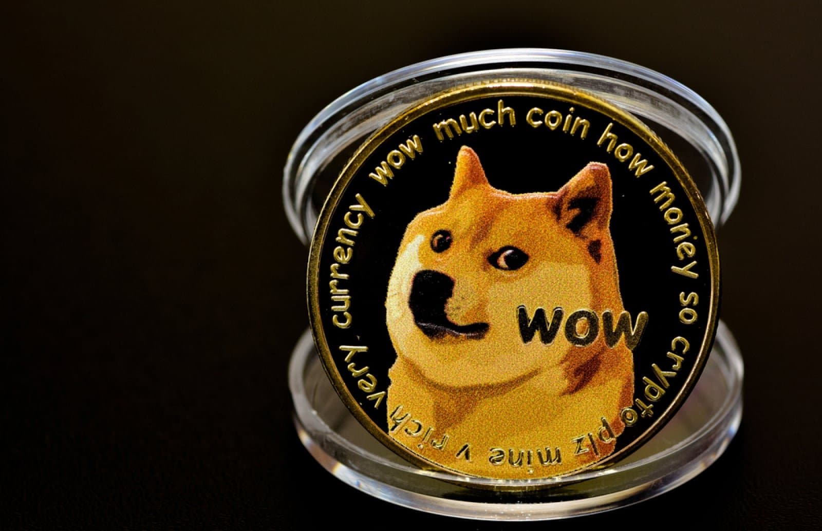 Dogecoin Stands Out as Only Top-20 Crypto with Rising Trading Activity