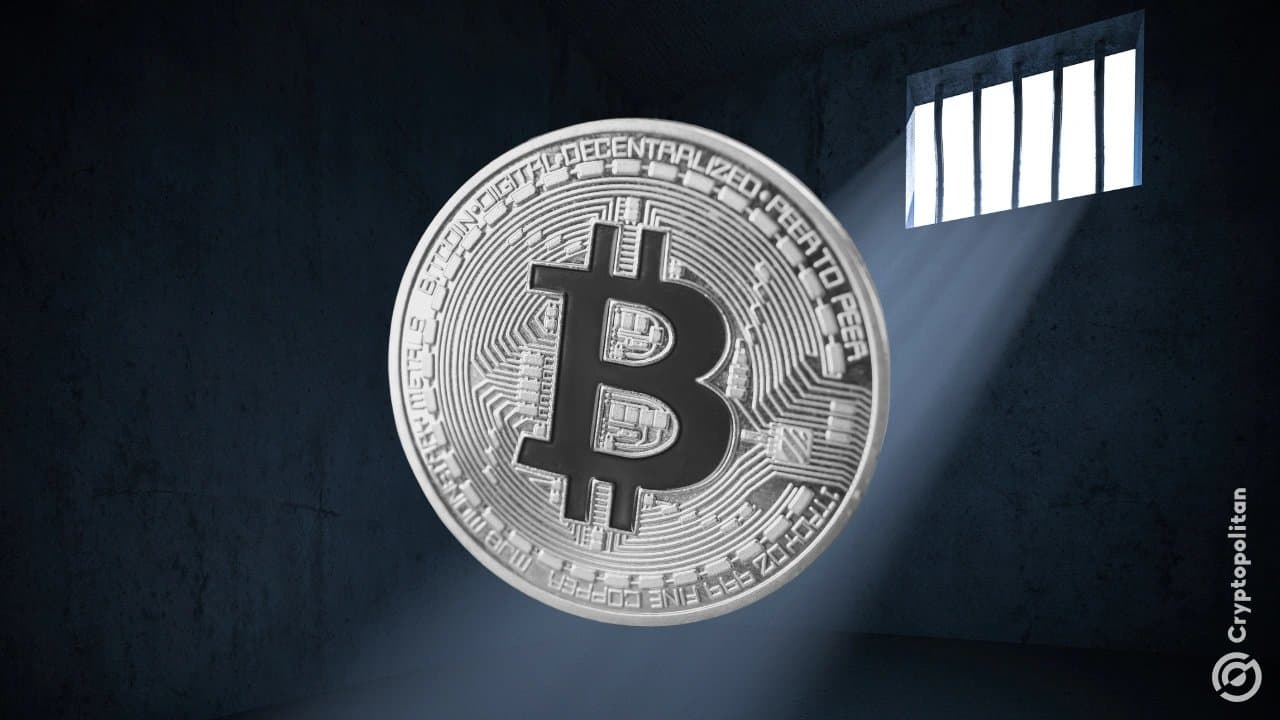 Samsung and SK Hynix's Decline Signals Early Warning for Bitcoin Traders