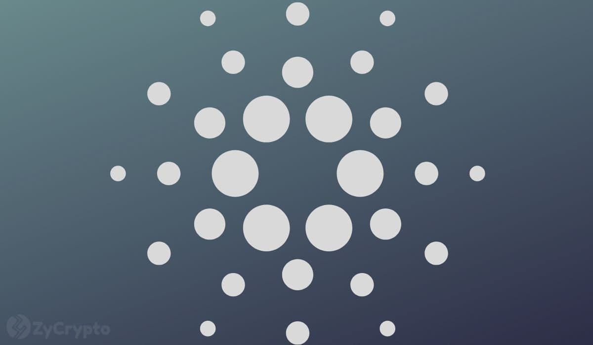 Cardano Whales Now Hold Nearly 69% of ADA Amid 70% Price Slump