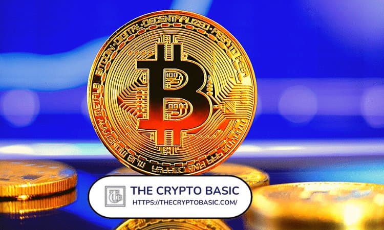 Bitcoin Poised for Significant Shift as On-Chain Data Lights Up
