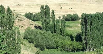 US Airstrike Targets Near Piranshahr, Sparking Tensions in Northwest Iran
