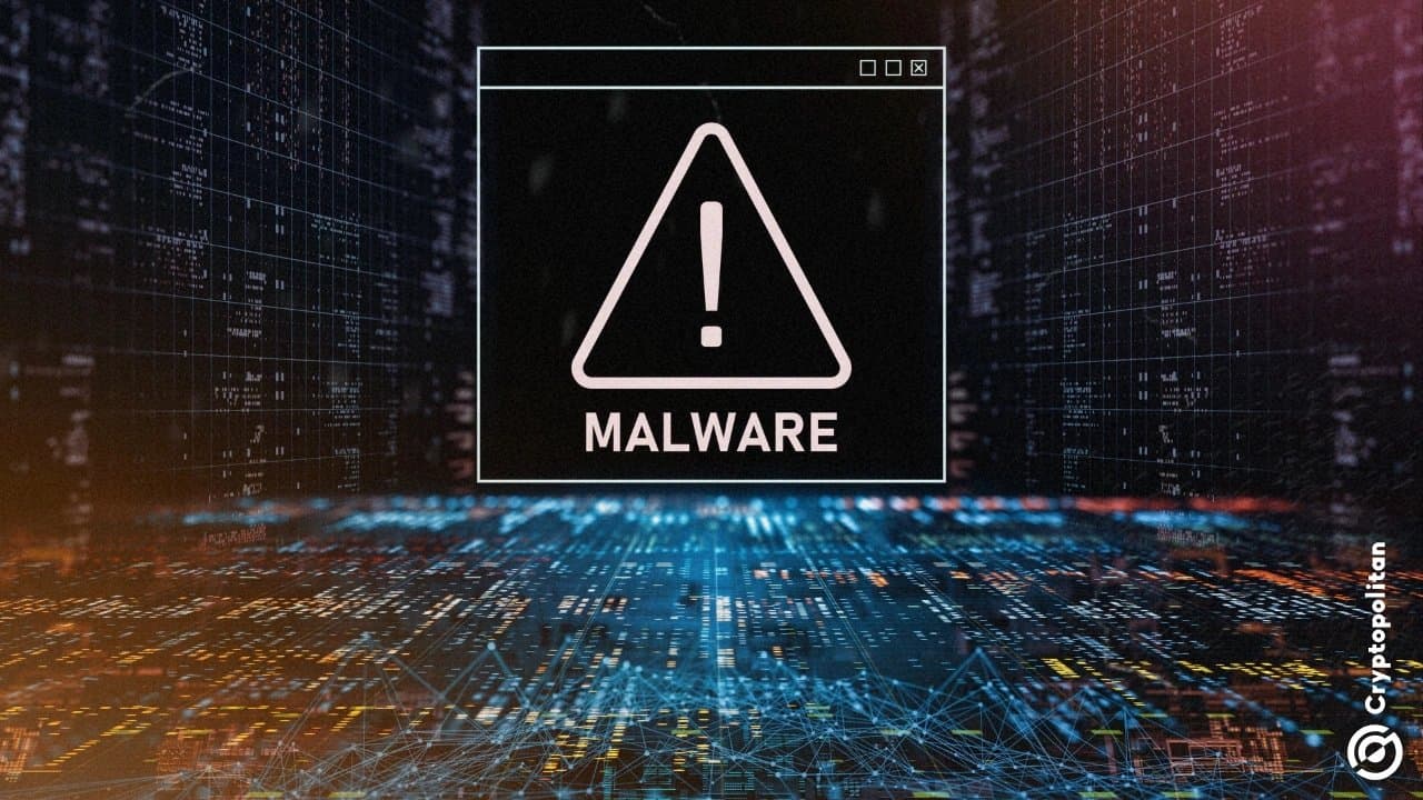 North Korean Hackers Exploit Fake Zoom Calls to Steal Crypto Wallets