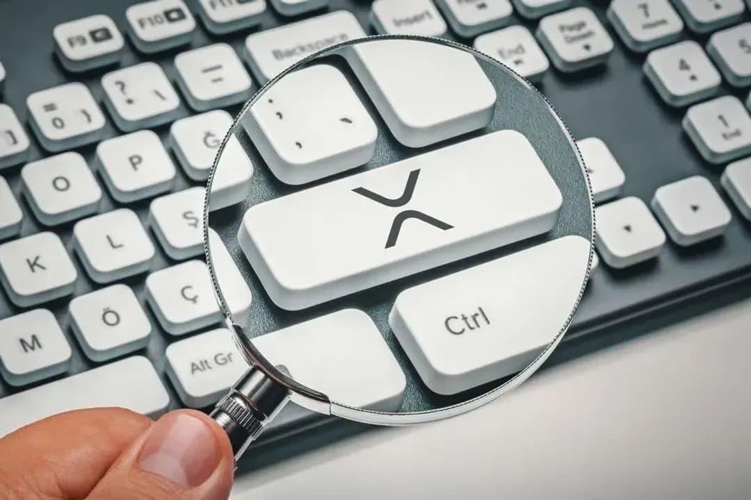XRP Leads Major Cryptos in Average Transaction Value as Evernorth Expands XRP Holdings