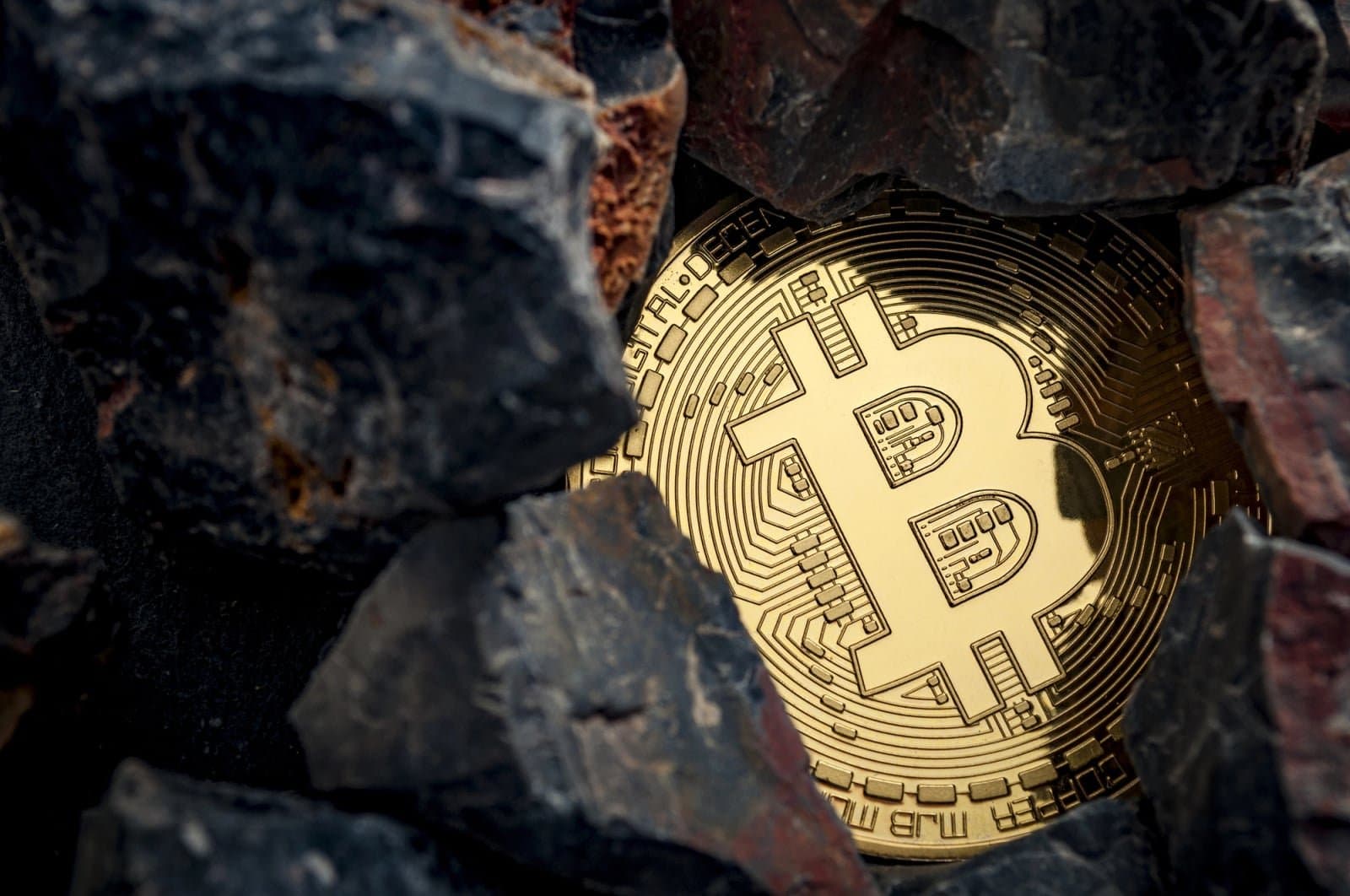BlackRock Sees $202 Million Withdrawal from Bitcoin ETF Amid Surge in Ethereum Investments