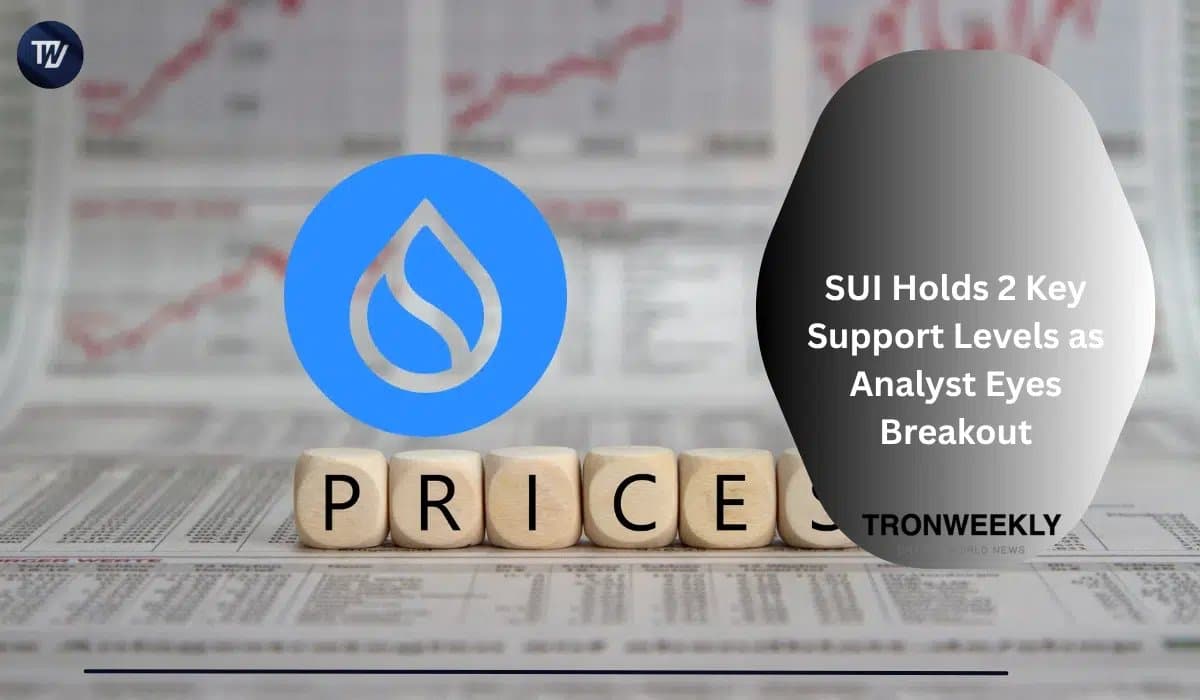 Sui Holds Ground at Critical Support as Traders Await Momentum Shift