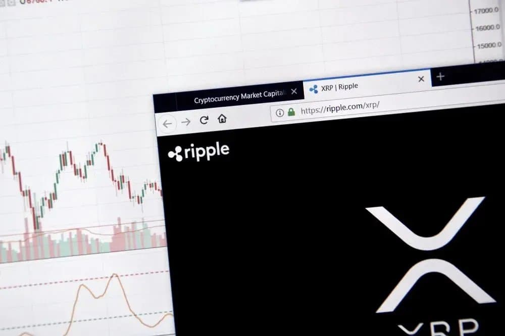 Evernorth Leader Highlights XRP's Role in Fast Money Transfers Compared to Bitcoin's Store of Value