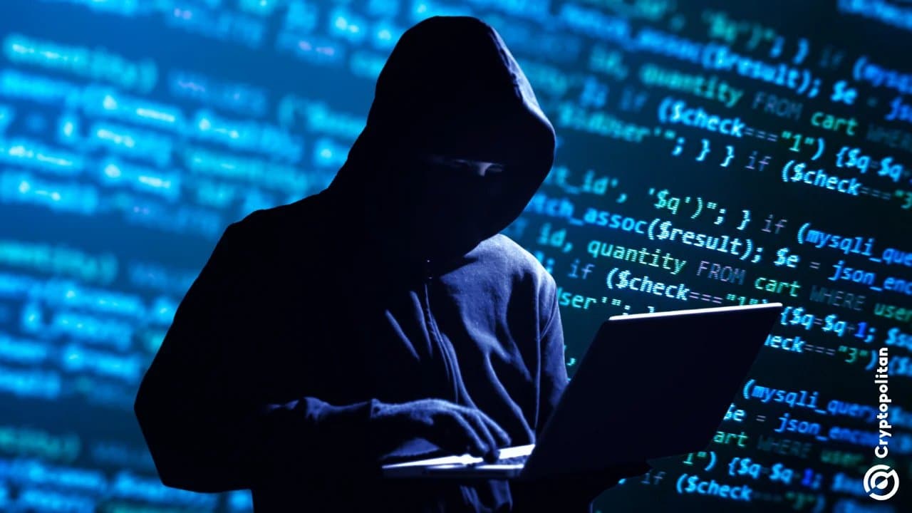 Wall Street hedge funds face wave of voice phishing attacks while crypto markets hold steady