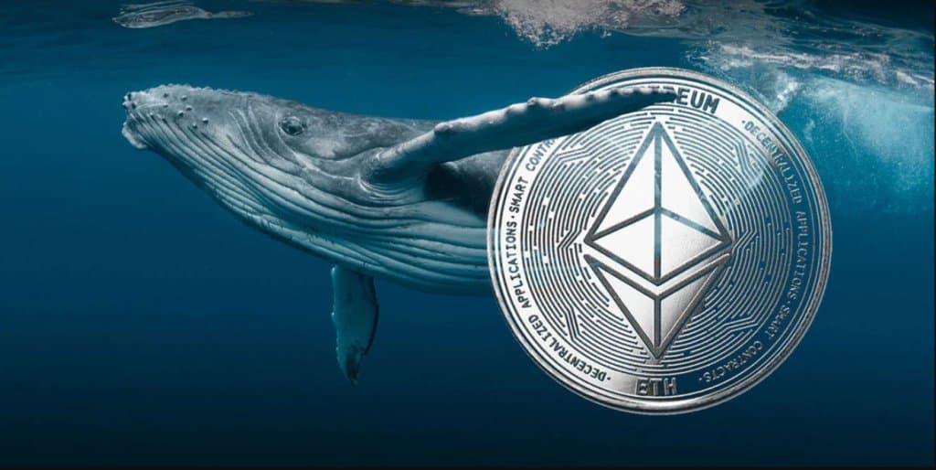 Ethereum Whale Expands Holdings with Massive Wrapped Bitcoin Purchase