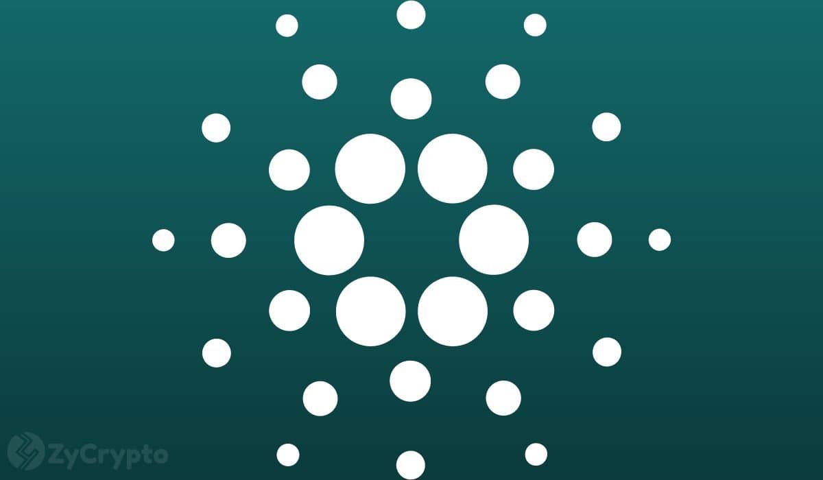 Cardano’s Midnight Project Poised for Growth Despite Recent Setback