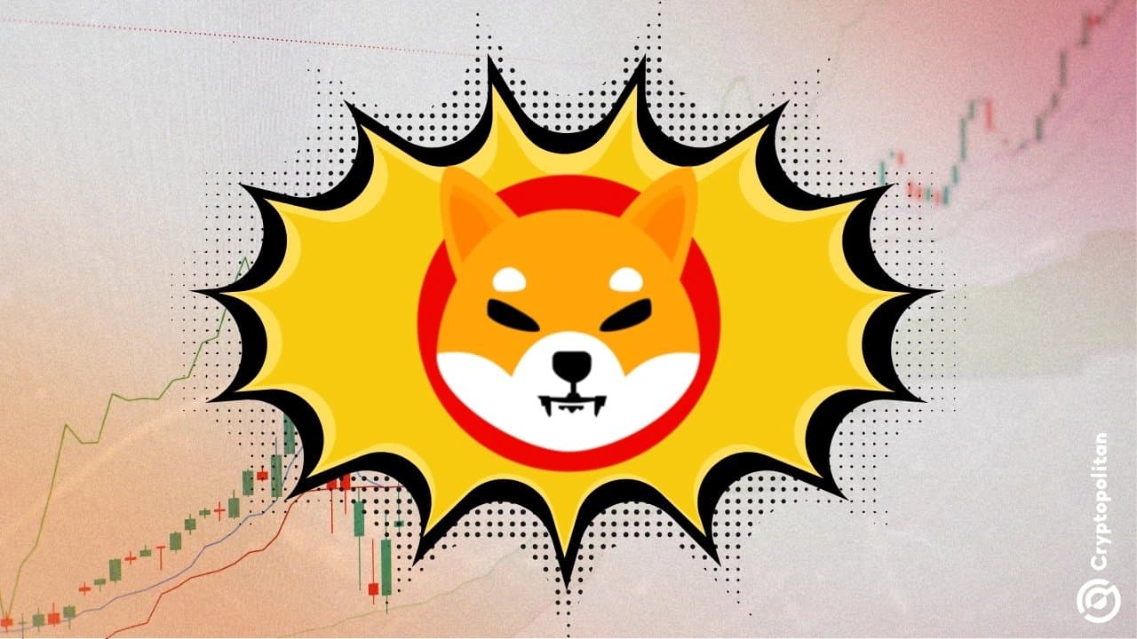 Shiba Inu’s Road Ahead: Price Estimates for 2026 to 2032